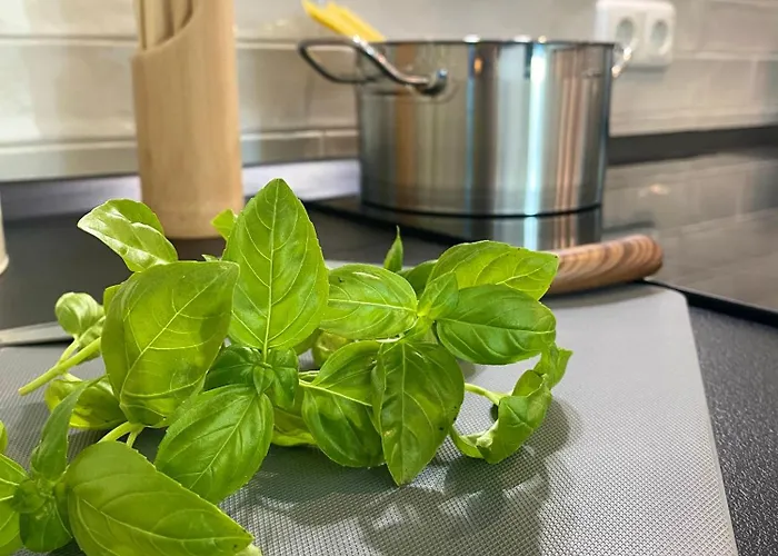 Apartment Penthouse - Zentral Und Genial *