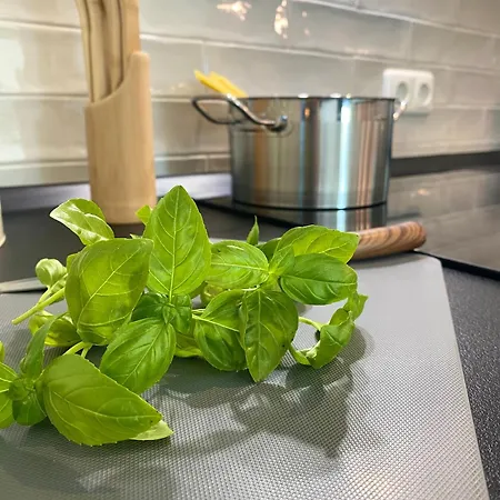 Apartment Penthouse - Zentral Und Genial *